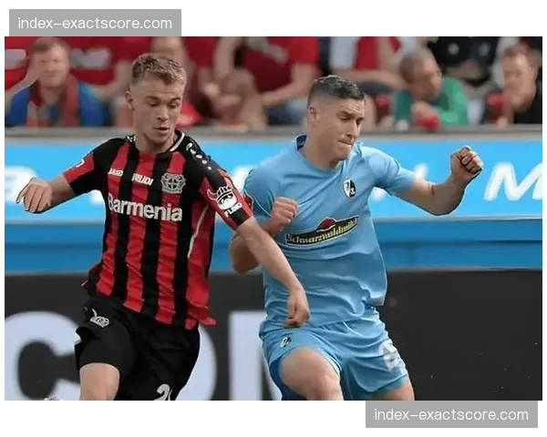 保级六分战：波鸿对阵达姆施塔特，失利一方将深陷降级区